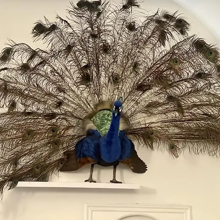 Casa Dell'inno Di Mameli Turin