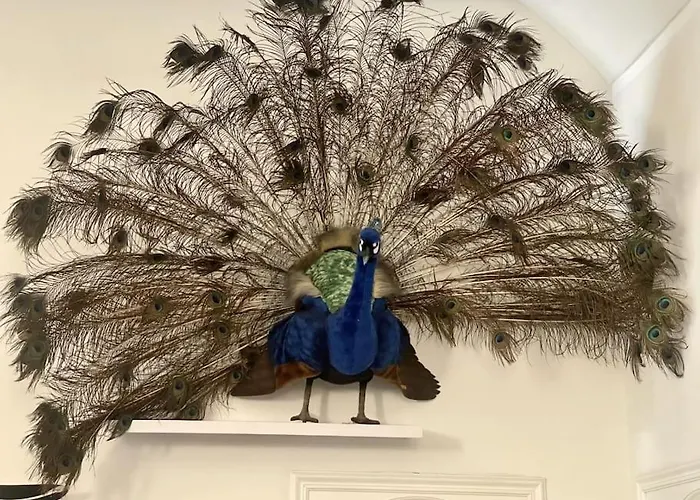 Casa Dell'inno Di Mameli Torino